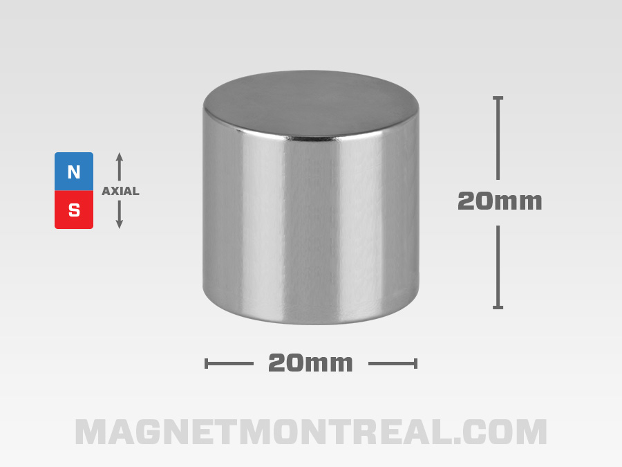 Aimant Cylindrique de 20mm de large x 5mm d'épaisseur (0.8 x 0.2) -  Magnet Montréal