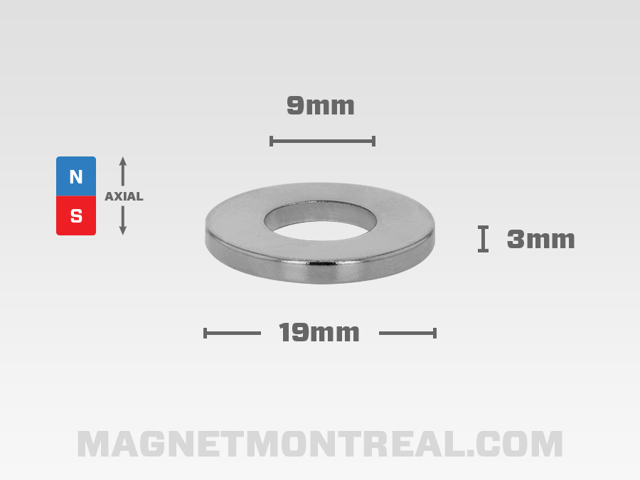 Ring Magnet, 19mm diameter x 3mm thick (0.75 x 0.12)- Magnet Montreal