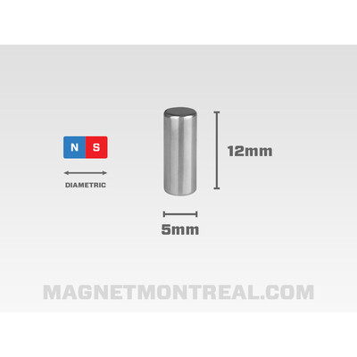 Aimant Cylindrique de 20mm de large x 5mm d'épaisseur (0.8 x 0.2) -  Magnet Montréal
